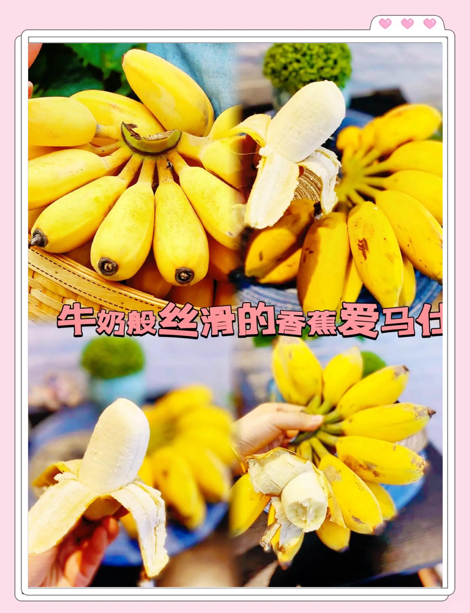 关于香蕉视频苹果版安装的信息-第2张图片-太平洋在线下载